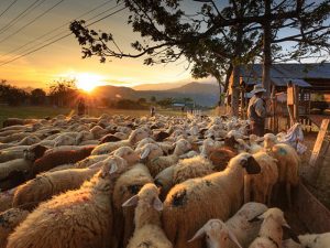 טיולים-באיזור