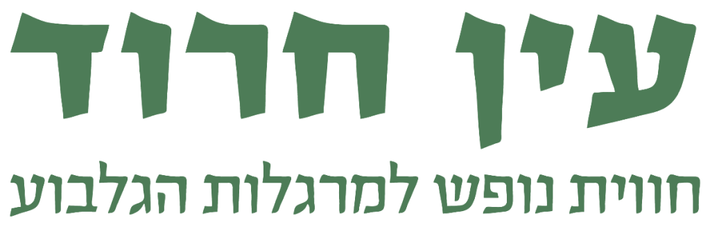 עין חרוד חוויות ונופש למרגלות הגלבוע